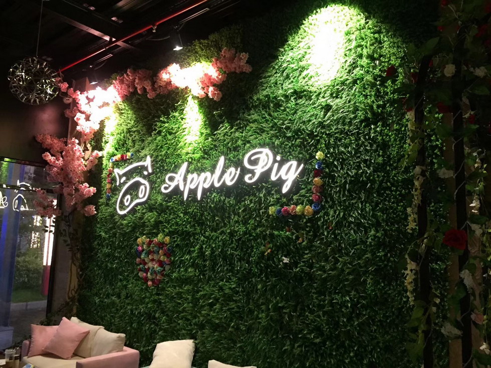 佛山 Apple pig音樂(lè)餐吧
