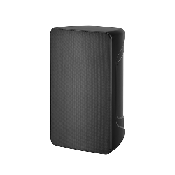WD-282(單8"無源二分頻揚(yáng)聲器)